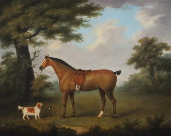 English School c.1840 Portrait of a horse and spaniel in a landscape 16.5 x 20.5in.